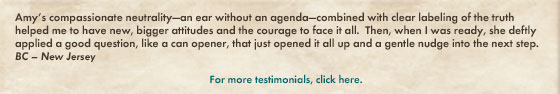 coaching testimonial for amy ruppert, mcc, chicago